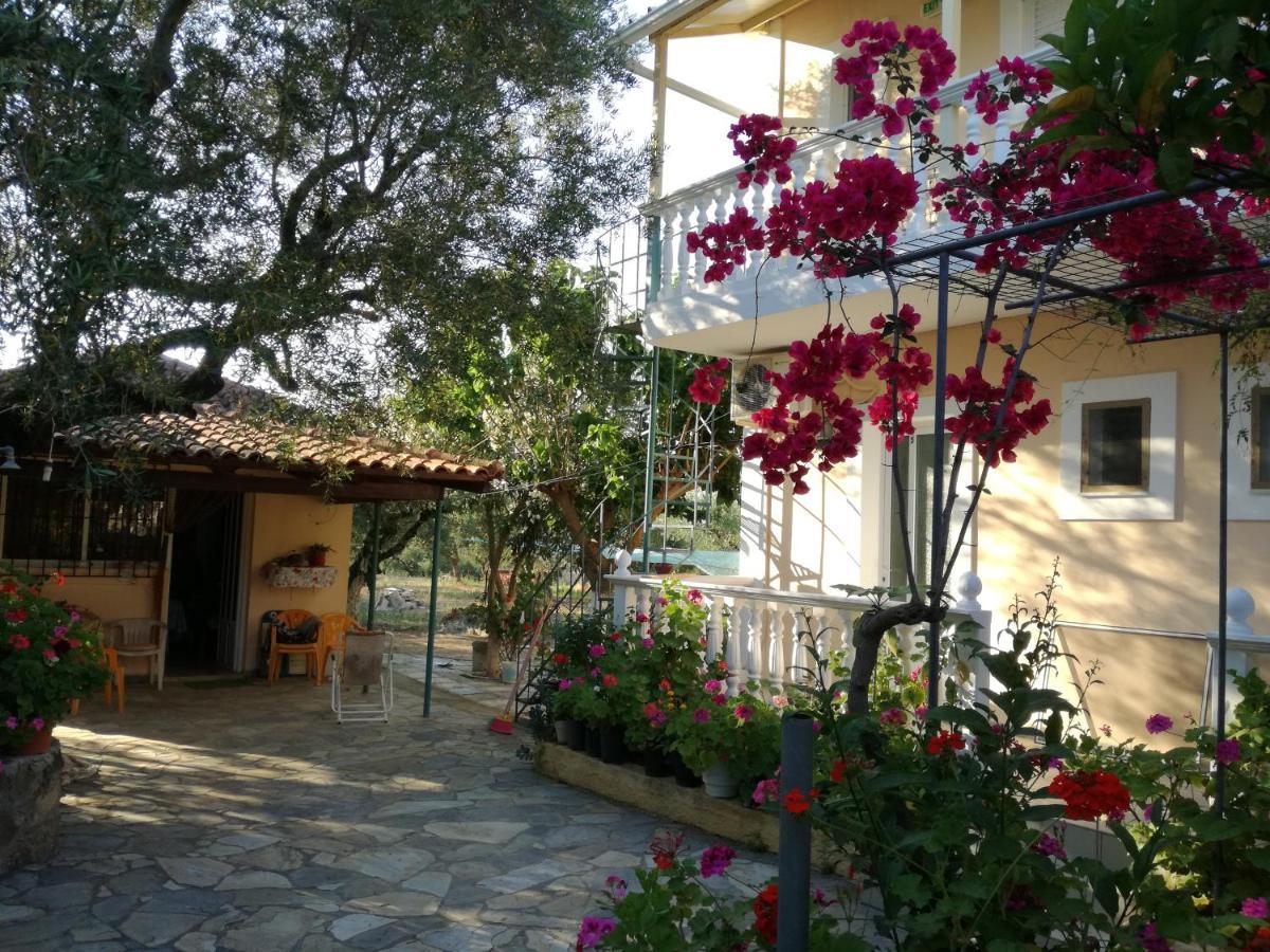 Plános Casa Dyonisia Tsilivi 아파트 호텔 외부 사진