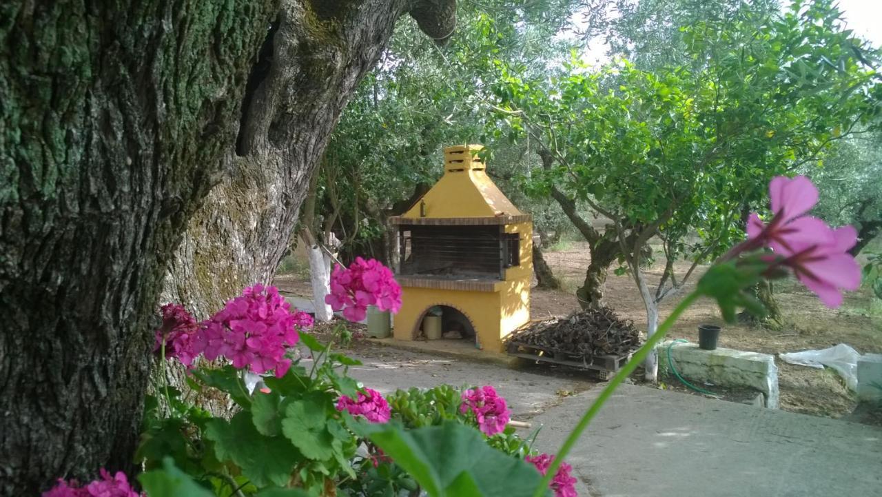 Plános Casa Dyonisia Tsilivi 아파트 호텔 외부 사진