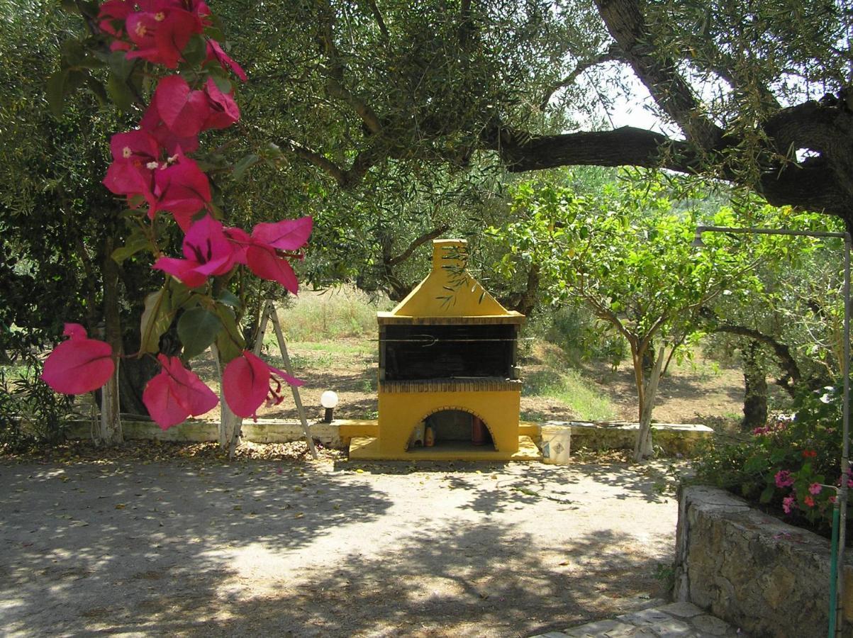 Plános Casa Dyonisia Tsilivi 아파트 호텔 외부 사진
